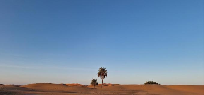 Kasbah Hotel Panorama メルズーガ エクステリア 写真